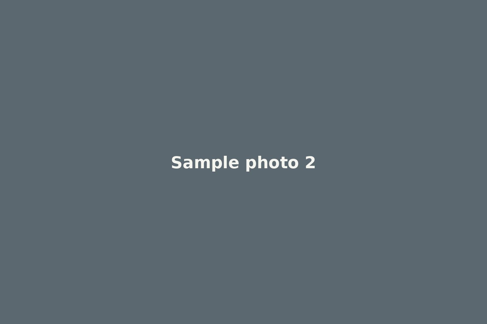 Second photo in the gallery.